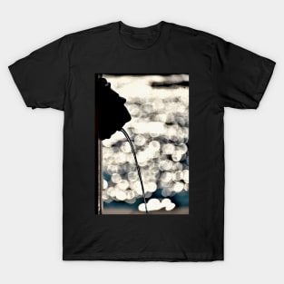 Venetian fountain T-Shirt